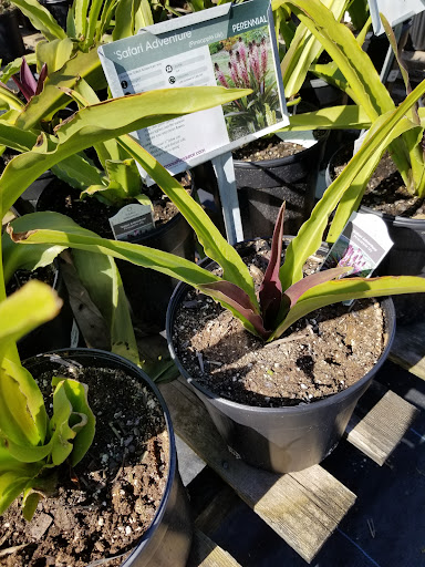 Plant Nursery «Guerin Nursery and Boutique», reviews and photos, 1418 Fall Creek Hwy, Granbury, TX 76049, USA