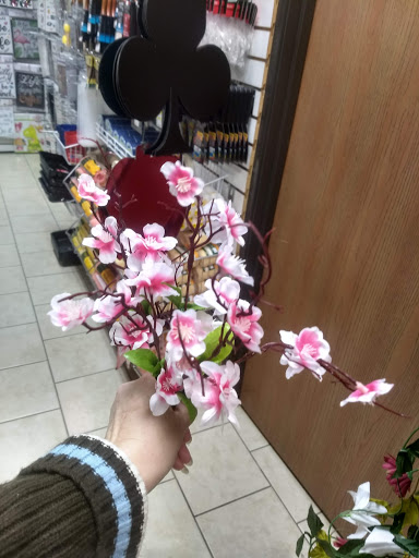 Variety Store «Dollar Discount», reviews and photos, 1825 S Cedar St, Imlay City, MI 48444, USA