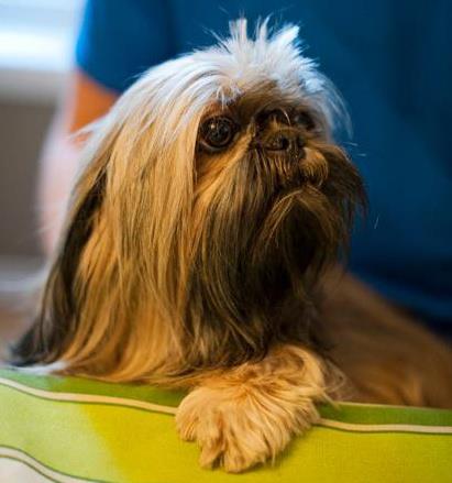 Global Pet Foods 1111 Princess St Kingston Ontario Ca Zaubee