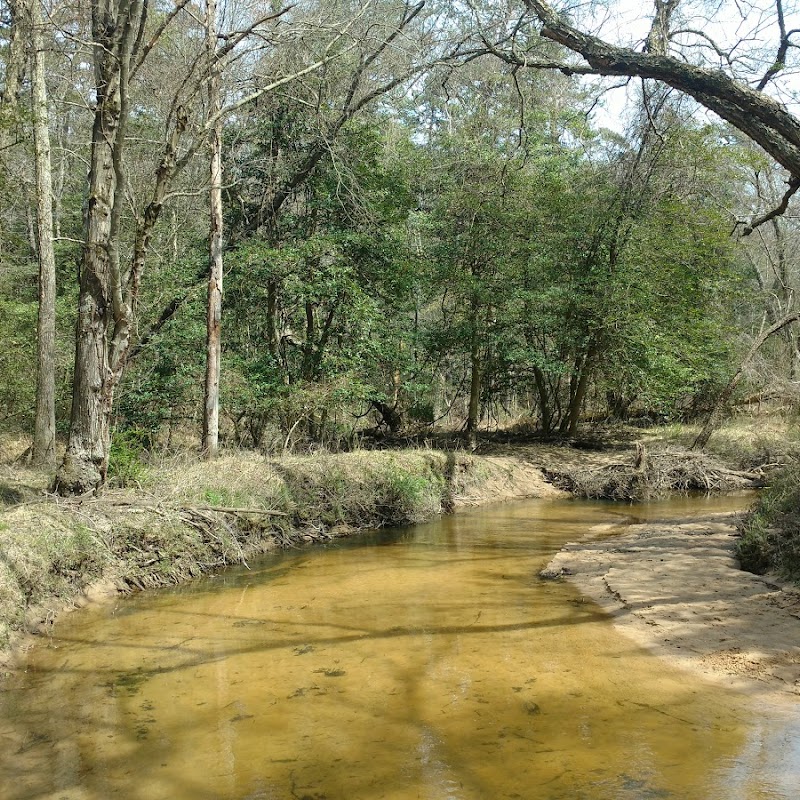 Severn Run Natural Environment Area