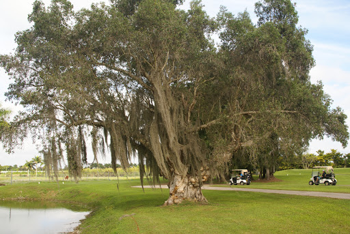 Country Club «Redland Golf & Country Club», reviews and photos, 24451 SW 177th Ave, Homestead, FL 33031, USA