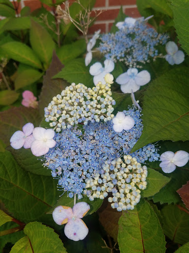 Explore breastfeeding tattoos ideas, creative tattoo ideas in Yorktown, available at Army Navy Tattoo