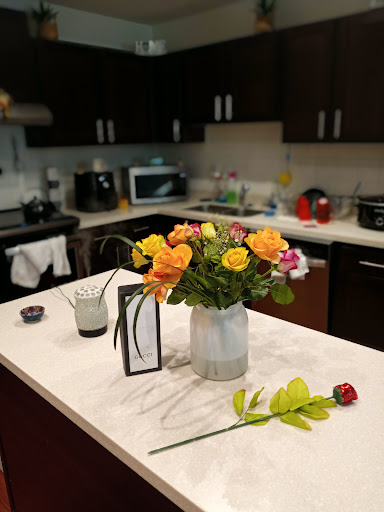 Grocery Store «Winn-Dixie», reviews and photos, 1514 S French Ave, Sanford, FL 32771, USA