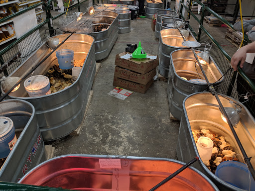 Department Store «Rural King», reviews and photos, 4000 W Bethel Ave, Muncie, IN 47304, USA