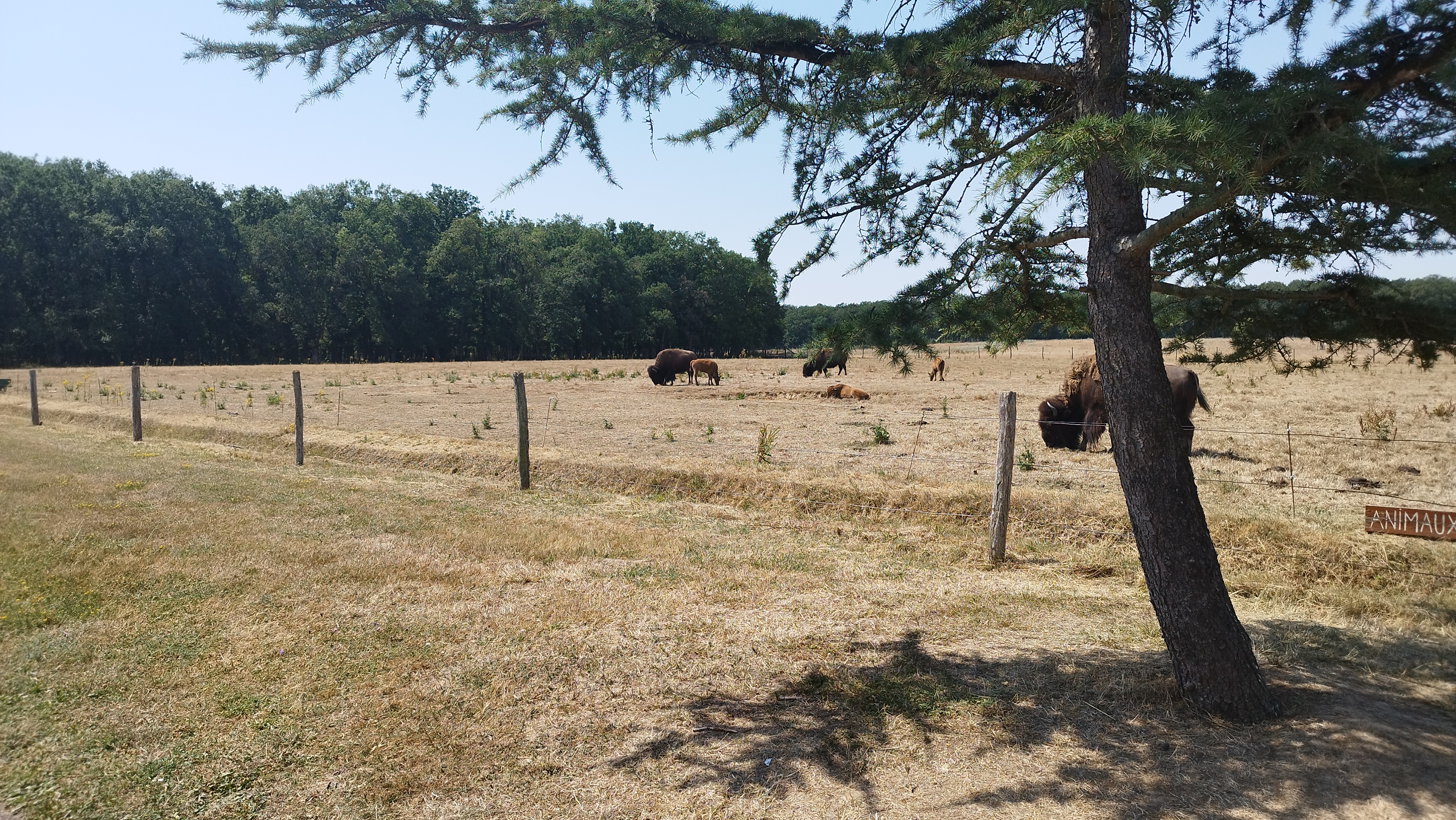 Photo n° 10 de l'avis de Key. fait le 19/07/2022 à 15:42