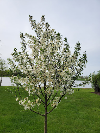 Park «Redmond Park», reviews and photos, 545 John St, Bensenville, IL 60106, USA