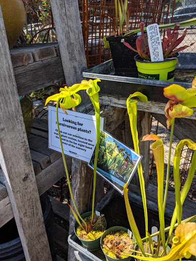 Building Materials Store «ProBuild», reviews and photos, 235 River St, Santa Cruz, CA 95060, USA