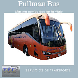 Arriendo De Autos Van Buses Busestec