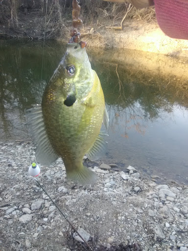 Park «Northwest Community Park», reviews and photos, 8575 Blue Mound Rd, Fort Worth, TX 76137, USA