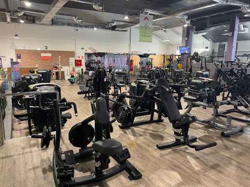 Gimnasio AltaFit Vitoria Guridi en Vitoria-Gasteiz, Álava