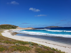 Foto af Salmon Beach med blåt rent vand overflade