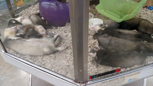 Pet Supply Store «Petco Animal Supplies», reviews and photos, 2807 Wilma Rudolph Blvd, Clarksville, TN 37040, USA