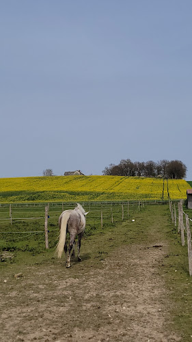 Écurie Ekistar à Saint-Jean-Saint-Germain