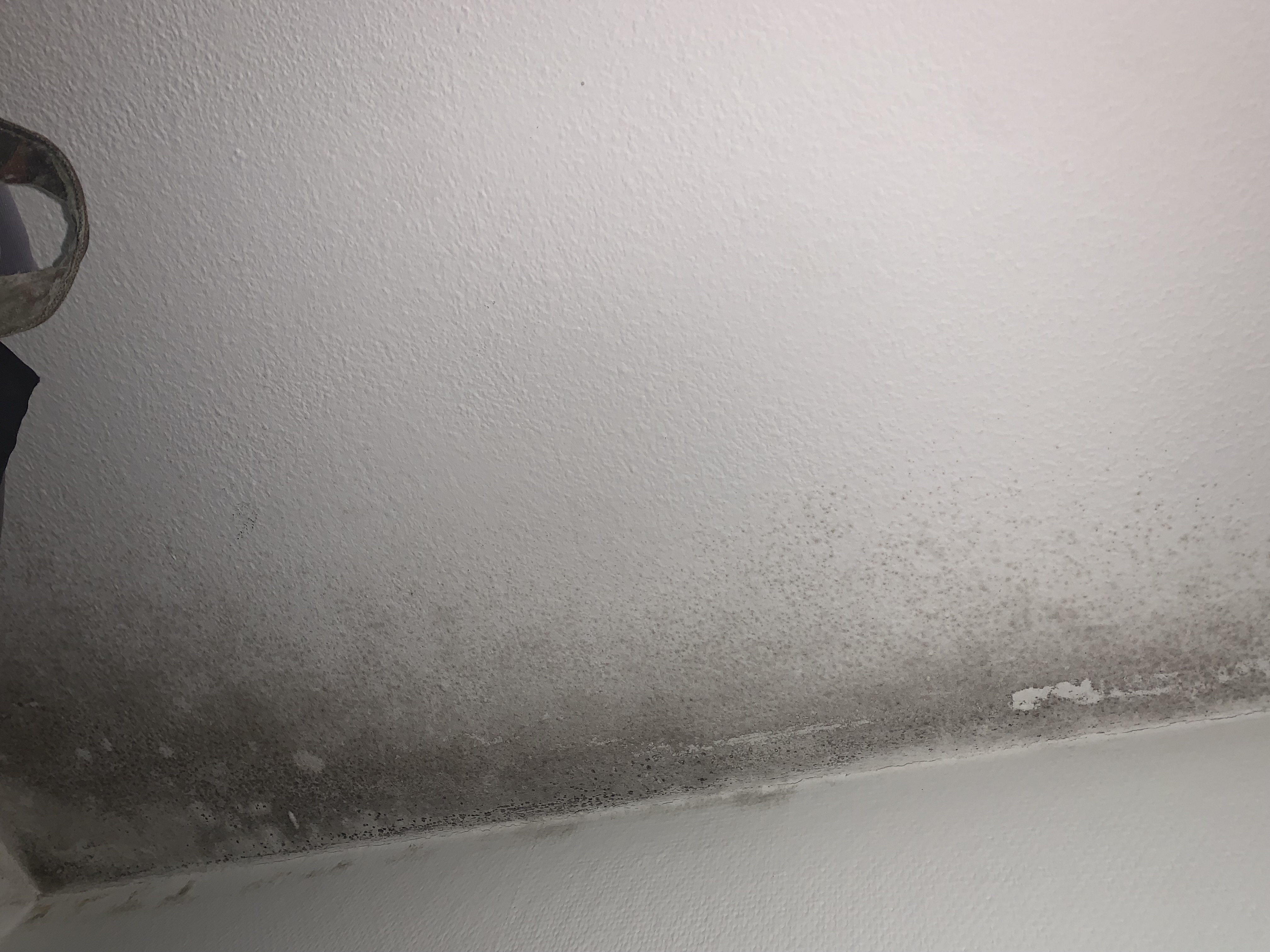 Photo n° 3 de l'avis de Mathis.a fait le 02/02/2023 à 15:37