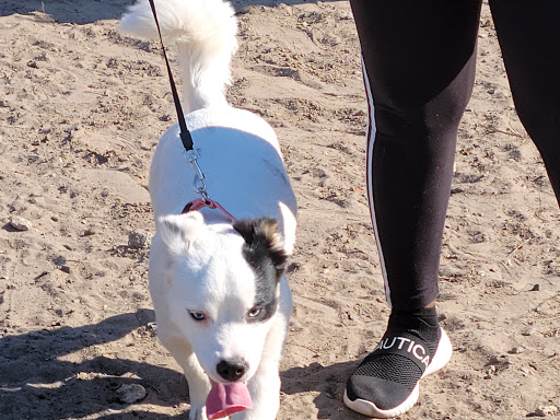 Park «Southside Park», reviews and photos, Southside Park Loop, Beaufort, SC 29902, USA