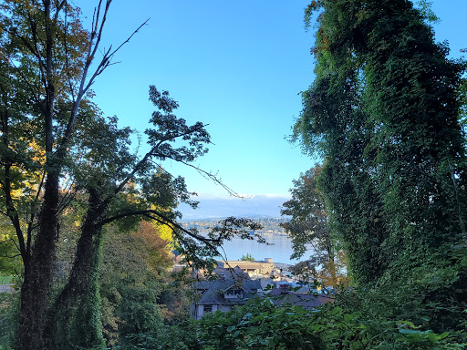 Park «Frink Park», reviews and photos, 398 Lake Washington Blvd S, Seattle, WA 98144, USA