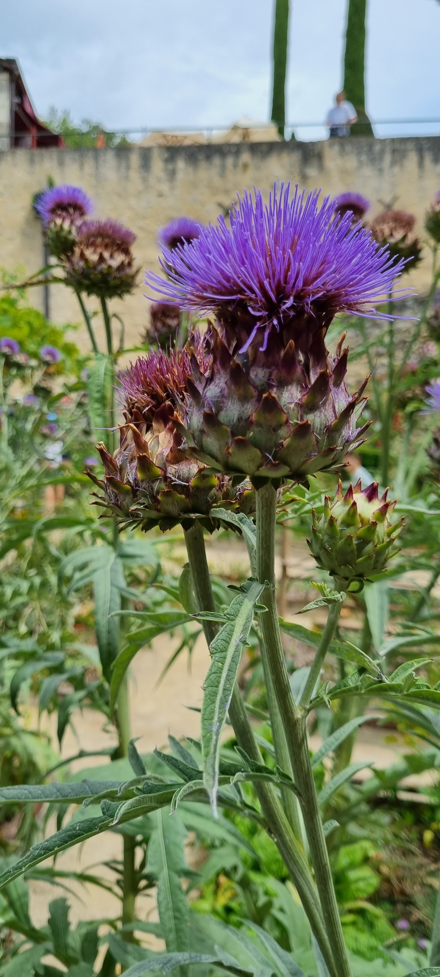 Photo n° 7 de l'avis de Ioannis.a fait le 24/07/2023 à 13:32