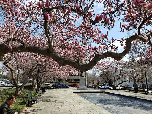 Live Music Venue «DAR Constitution Hall», reviews and photos, 1776 D St NW, Washington, DC 20006, USA