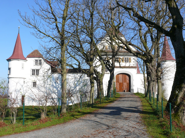 Rezensionen über Wasserschloss Wyher in Sursee - Museum