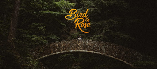Bird And Rose Photography