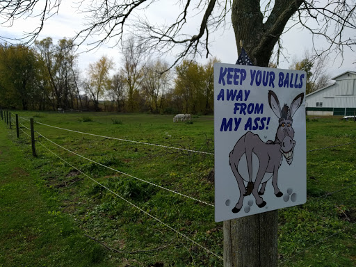 Public Golf Course «Wildcat Golf Course», reviews and photos, 100 Wildcat Trail, Shellsburg, IA 52332, USA