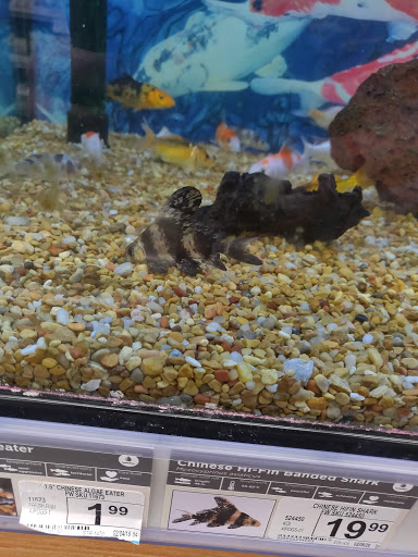 Pet Supply Store «Petco Animal Supplies», reviews and photos, 3194 FM407, Highland Village, TX 75077, USA