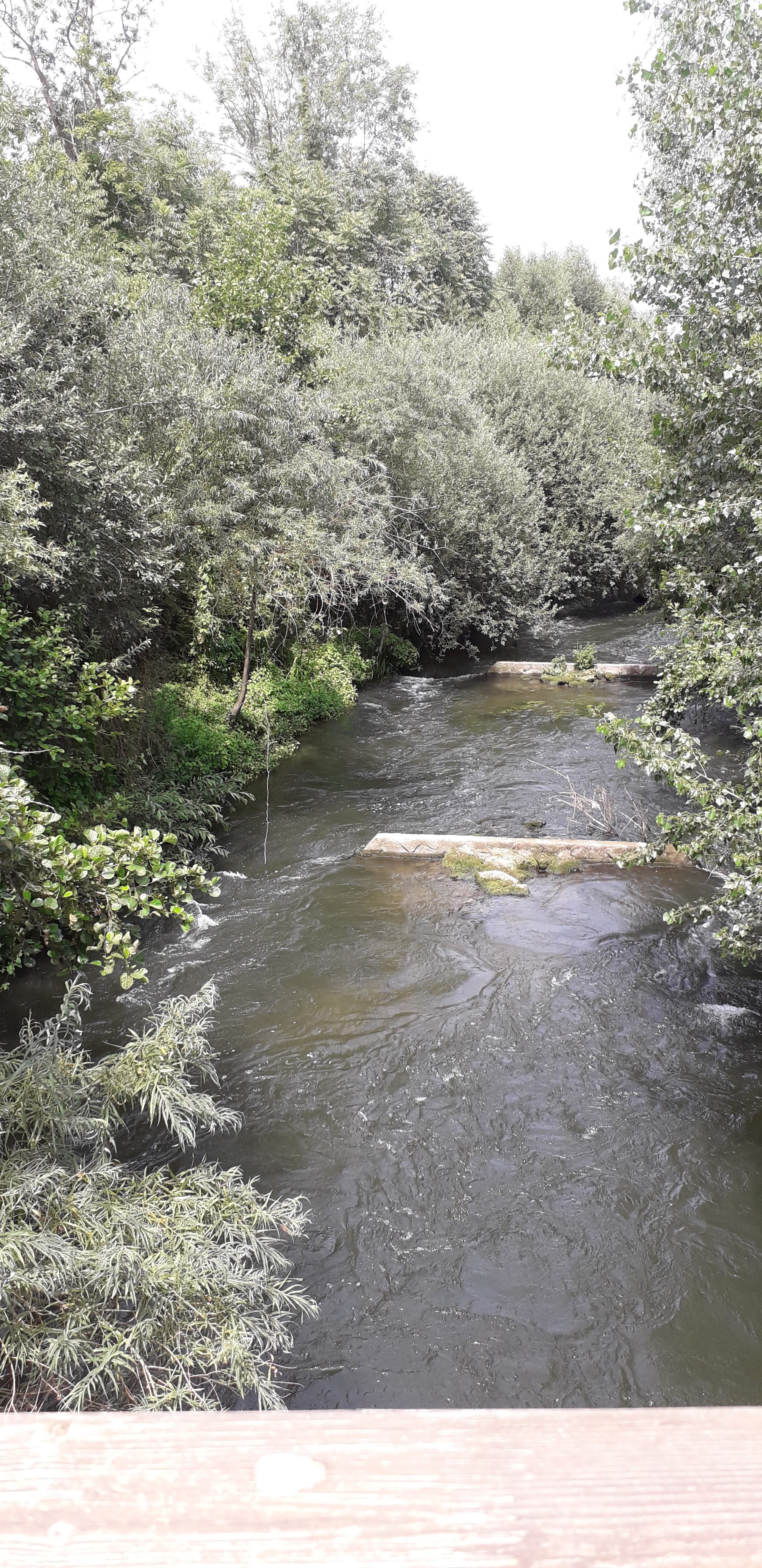 Photo n° 1 de l'avis de Véronique.e fait le 13/08/2019 à 16:24
