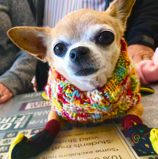 Pet Store «The Pet Place», reviews and photos, 240 Shadowline Dr, Boone, NC 28607, USA