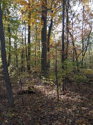 Hillbrook Park - photo 25