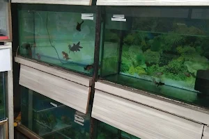 Fish Aquarium Shop image