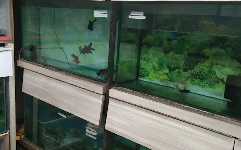 Fish Aquarium Shop image