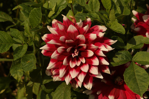 Park «Walter & Mary Burke Park», reviews and photos, 36300 Front St, New Baltimore, MI 48047, USA