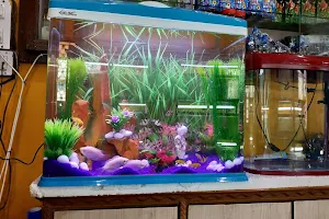 Shalimar Aquarium image