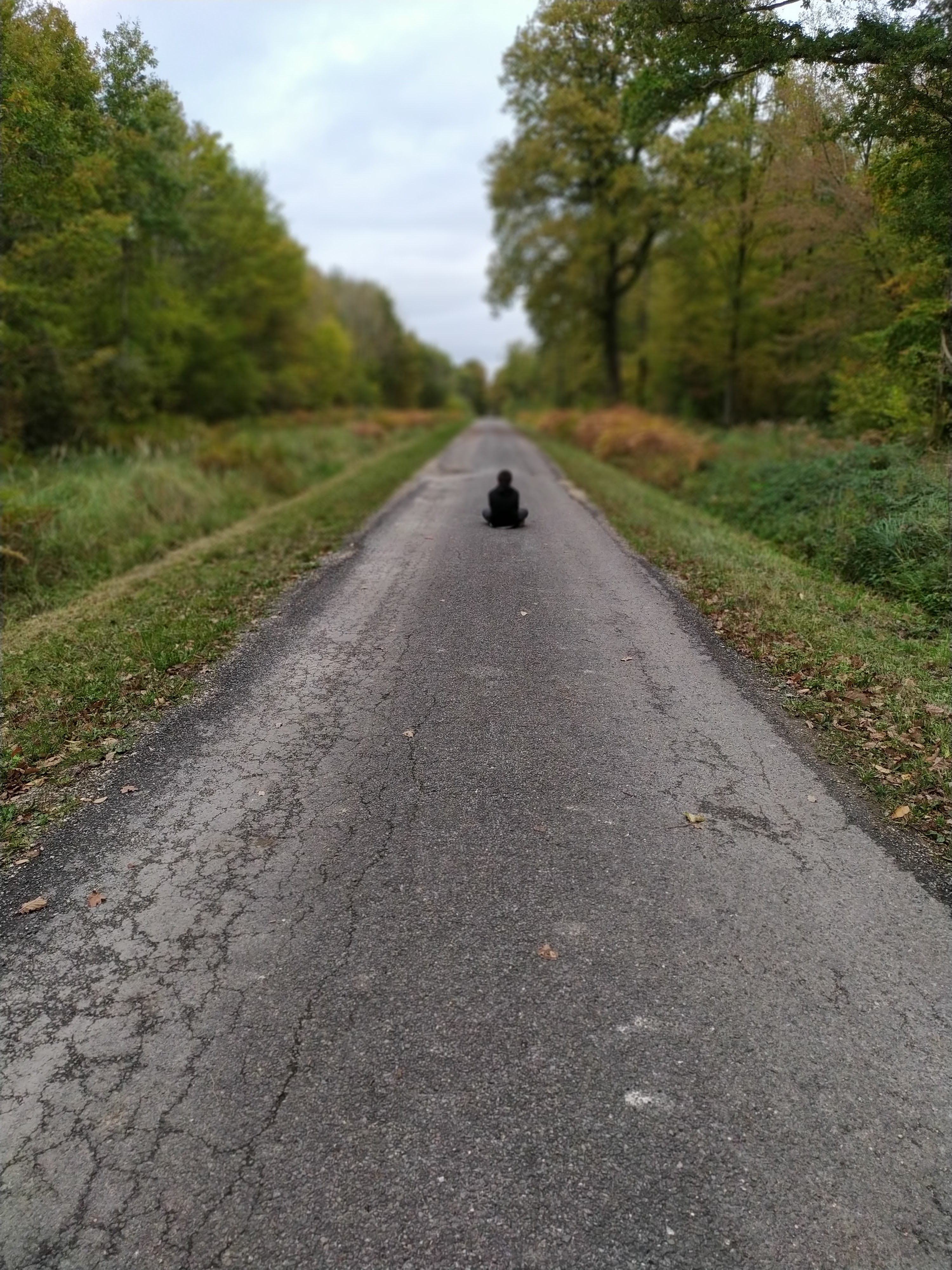 Photo n° 5 de l'avis de Sandrine.e fait le 05/11/2019 à 08:27