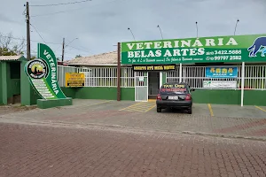 Clinica Veterinária Belas Artes | Veterinário em Itanhaém image