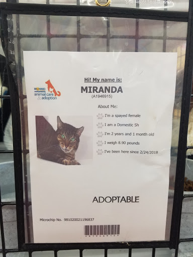 Pet Store «Pet Supermarket, Inc.», reviews and photos, 2446 N University Dr, Coral Springs, FL 33065, USA