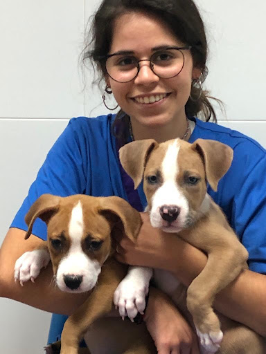 Clínica Veterinaria Castelldefels Albó en Castelldefels
