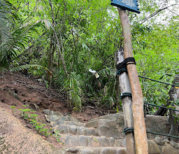 Vallarta Adventures photo