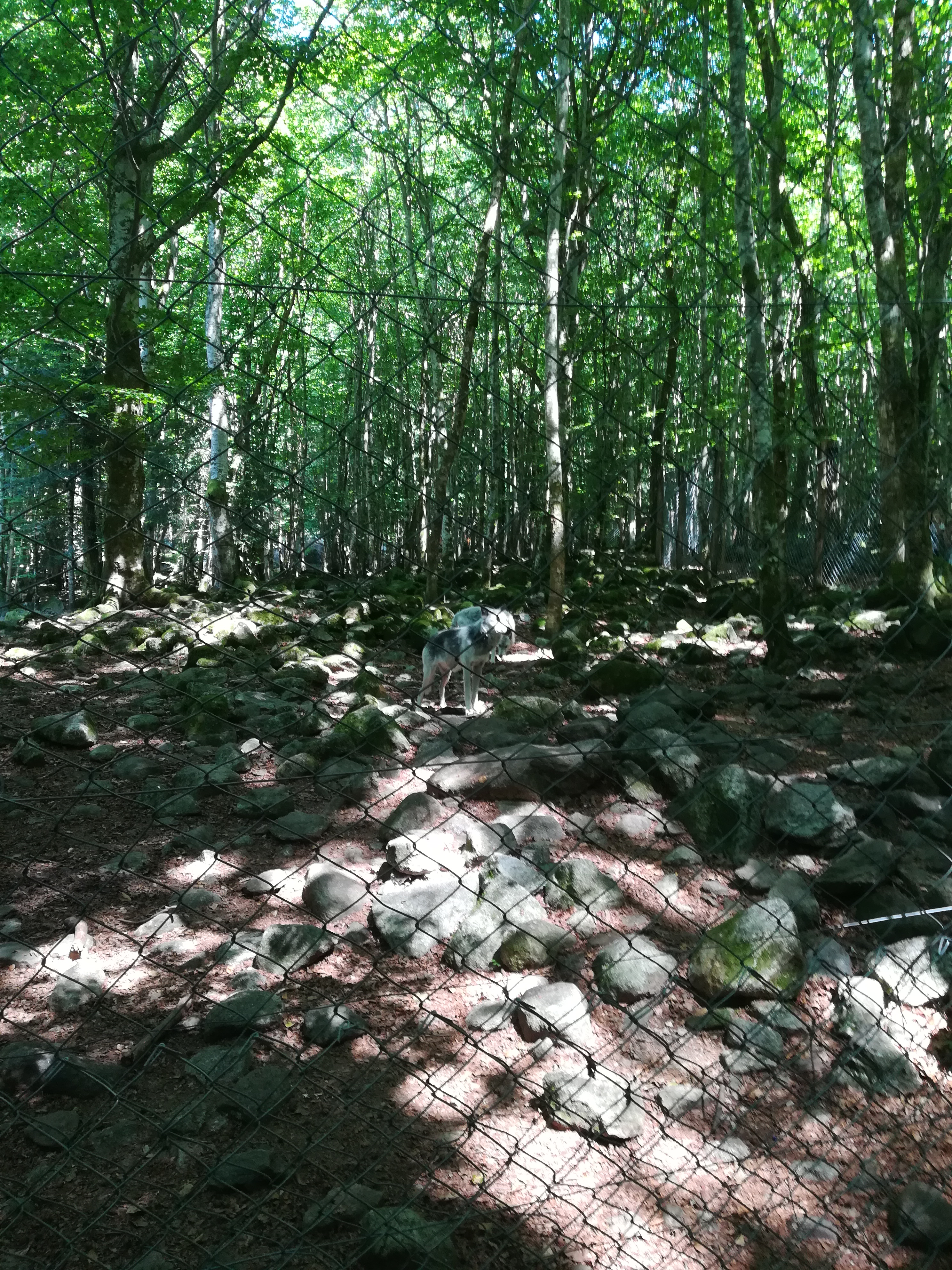 Photo n° 39 de l'avis de Audrey.� fait le 28/07/2017 à 17:11