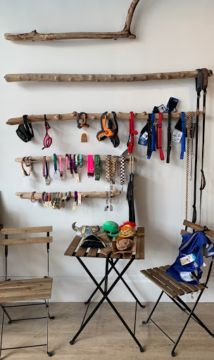 Pet Supply Store «Cole Valley Pets», reviews and photos, 910 Cole St, San Francisco, CA 94117, USA