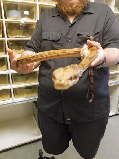 Pet Store «Exotic Pets», reviews and photos, 2410 N Decatur Blvd #160, Las Vegas, NV 89108, USA