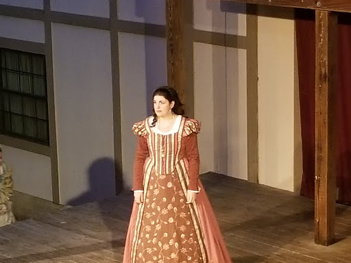 Performing Arts Theater «The Curtain Theatre», reviews and photos, 7400 Coldwater Canyon Dr, Austin, TX 78730, USA