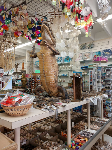 Gift Shop «Big Shark», reviews and photos, 2715 N Atlantic Ave, Daytona Beach, FL 32118, USA