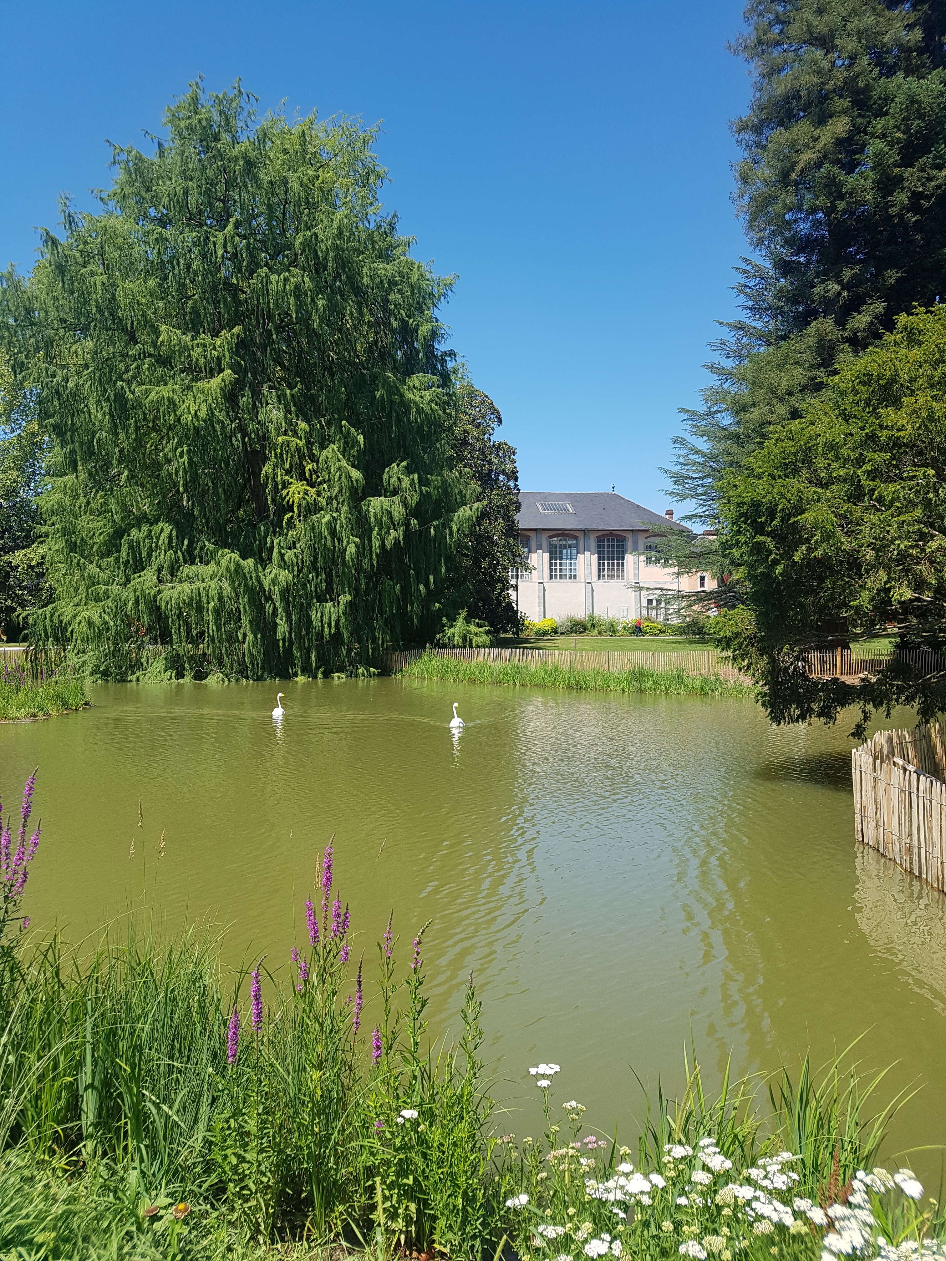 Photo n° 3 de l'avis de Maélia.b fait le 23/08/2019 à 16:17