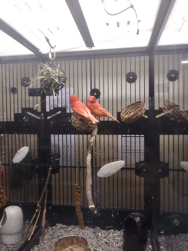 Pet Supply Store «Petco Animal Supplies», reviews and photos, 6720 Fox Centre Pkwy, Gloucester Courthouse, VA 23061, USA