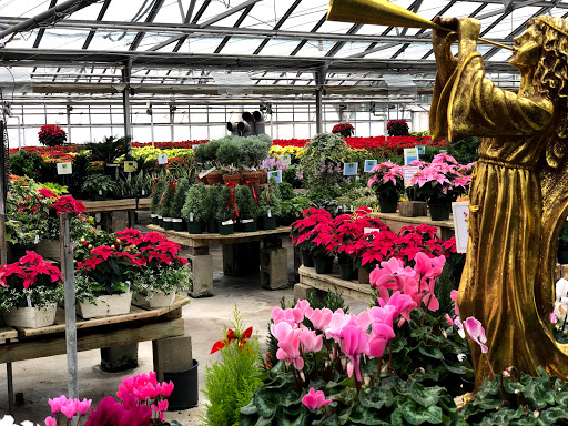 Garden Center «Woodland Gardens», reviews and photos, 168 Woodland St, Manchester, CT 06042, USA