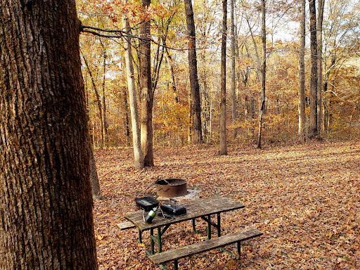 Monument «Meriwether Lewis Monument», reviews and photos, Old Natchez Trace, Hohenwald, TN 38462, USA