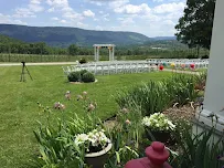 La Bella Vita Event Planners - Car repair in , Roanoke - Rated 5.0/5