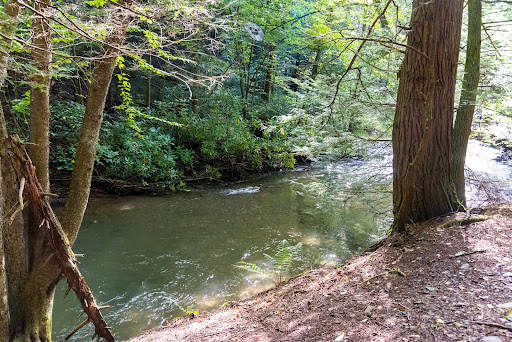 Sawmill Run Trailhead
