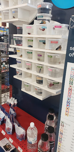 Pet Supply Store «Petco Animal Supplies», reviews and photos, 664 New Loudon Rd #240, Latham, NY 12110, USA